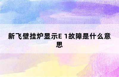 新飞壁挂炉显示E 1故障是什么意思